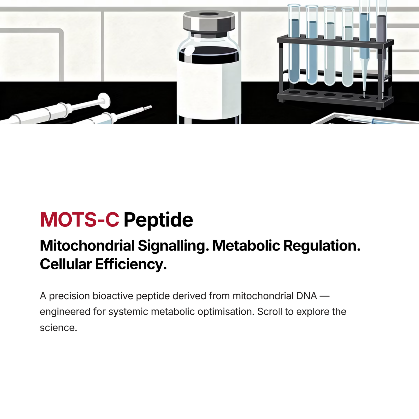 Mots-C (10mg)