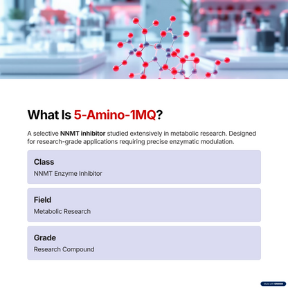 5-Amino-1mq