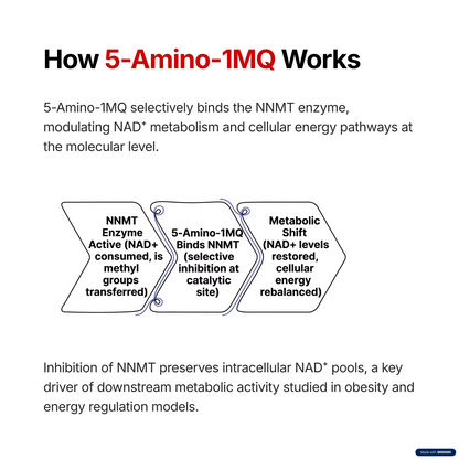 5-Amino-1mq